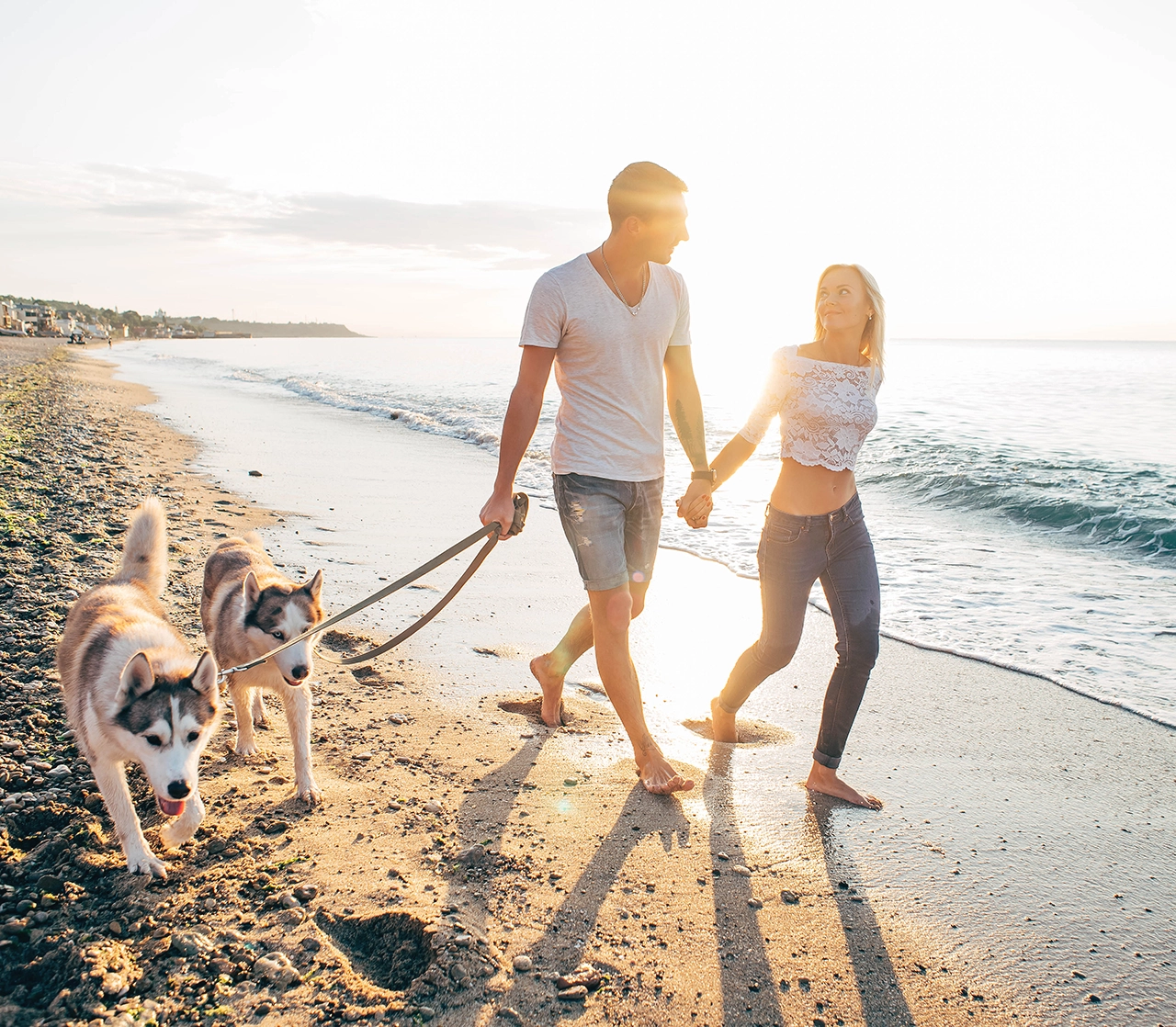 Hond mee op huwelijksreis: goed idee of niet?