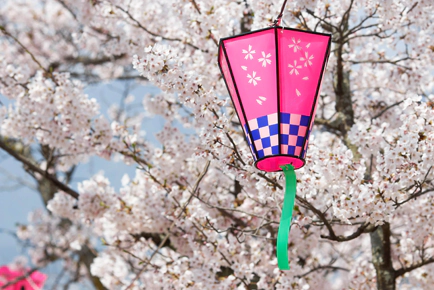 decoratie_roze_lampion_bruidsbeurs